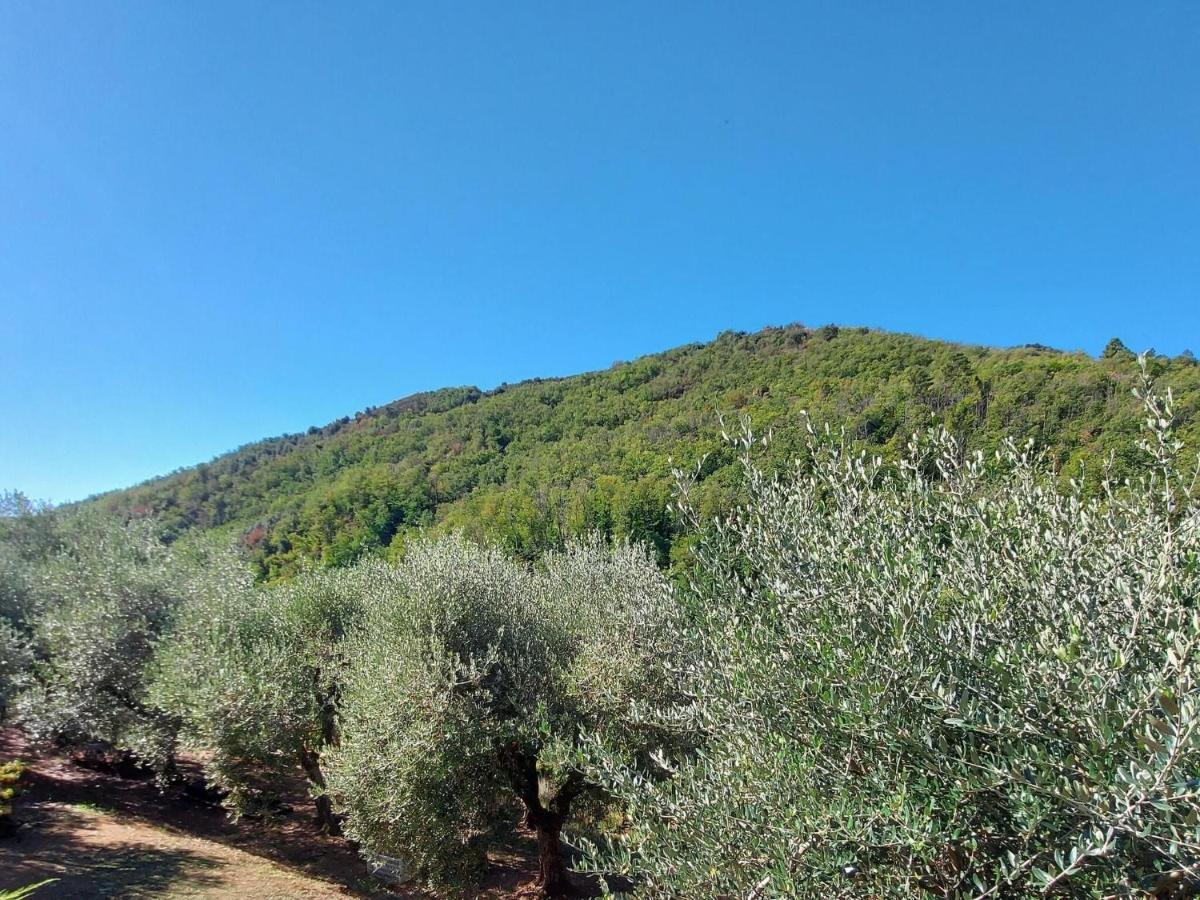 Belvilla By Oyo Casa Foce Loppeglia Buitenkant foto